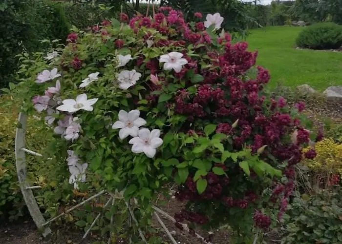 Puhkemaja Peretuba *